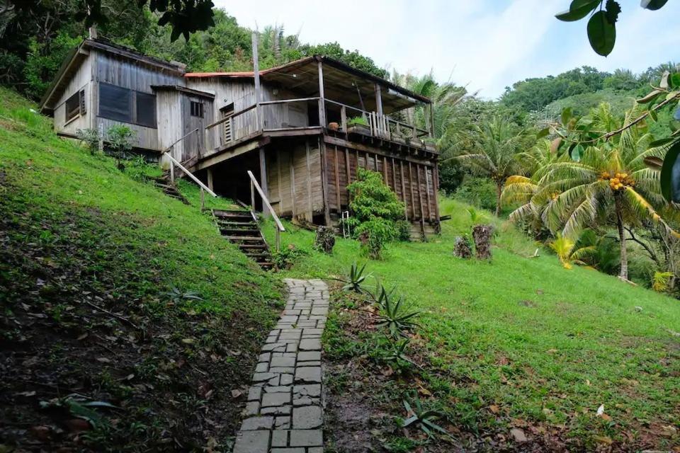 Guanaja Backpackers Hostel Экстерьер фото